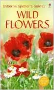 Wild Flowers
