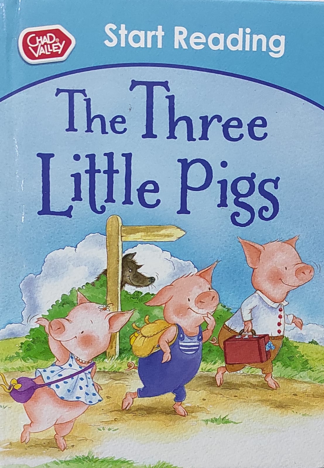 The three little pigs (hardcover)