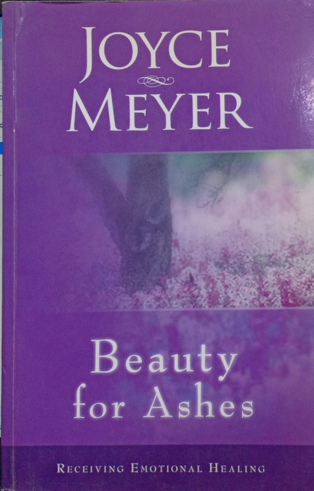Beauty for Ashes by Meyer Joyce