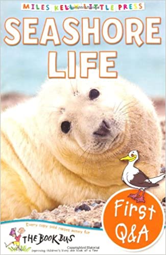 Seashore (Little Press)
