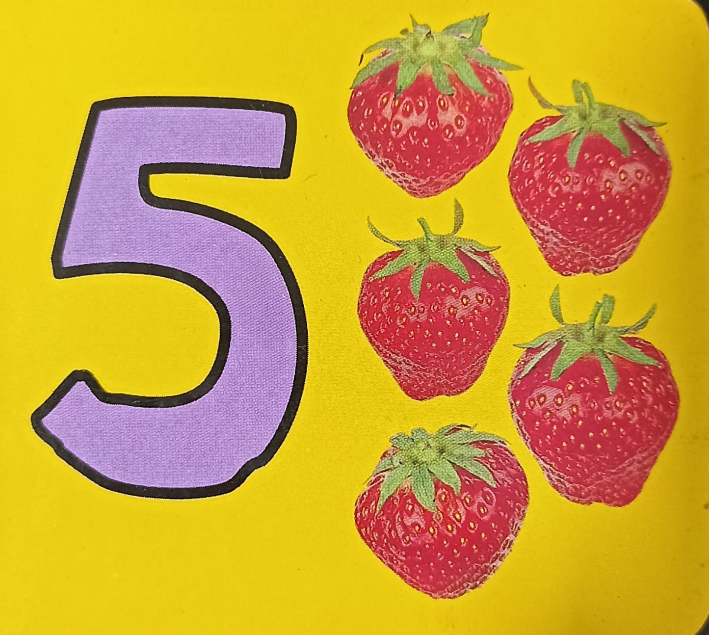 5 (PALM SIZE BOARBOOK)