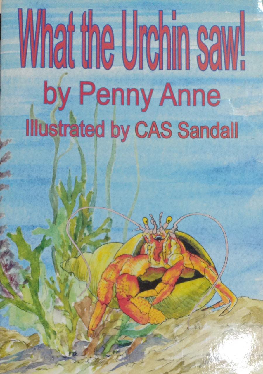What the Urchin Saw!