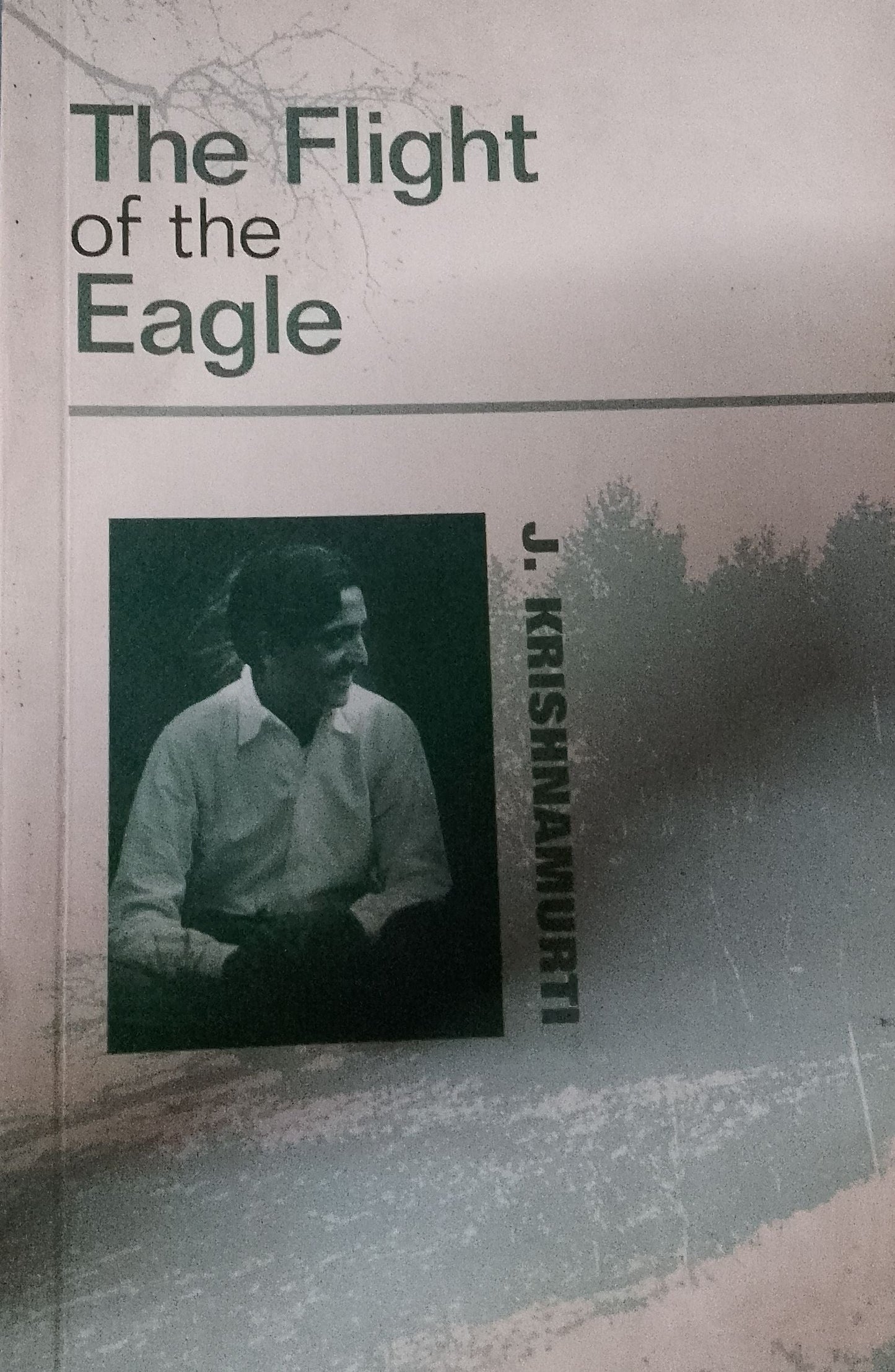 The Flight of the Eagle