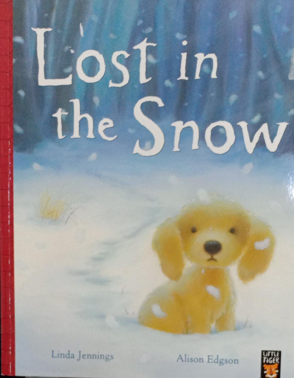 Lost in the Snow