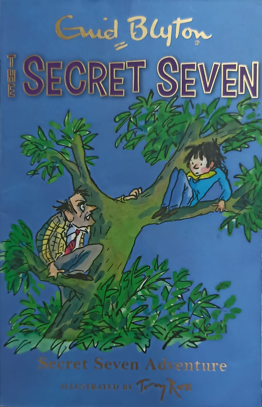 The Secret Seven: Secret Seven Adventure #02