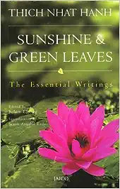 Sunshine & Green Leaves