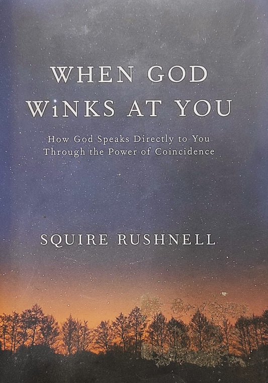 When God Winks at You: How God Speaks Directly to You Through the Power of Coincidence (Hardcover)