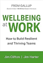Wellbeing at Work [Hardcover] by Jim Clifton and Jim Harter