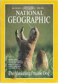 The Vanishing Prairie Dog [National Geographic Magazine] [Vol. 193 NO. 4] [April 1998] [RARE BOOKS]