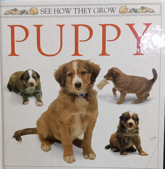 See How They Grow: Puppy [hardcover]