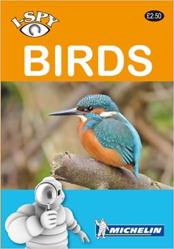 i-SPY Birds