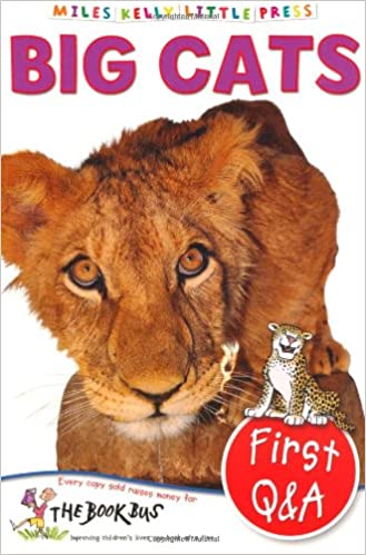 Big Cats (Little Press)
