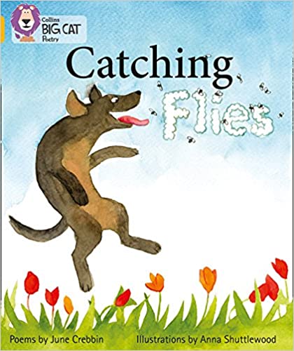 Catching Flies