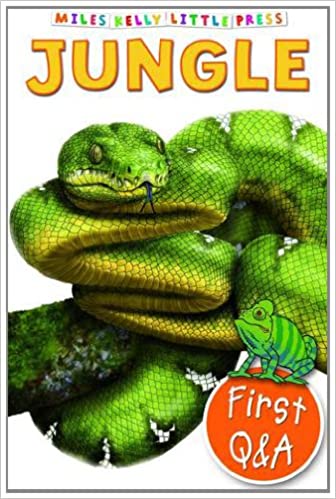 First Q & A - Jungle
