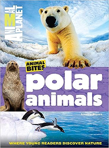 Polar Animals
