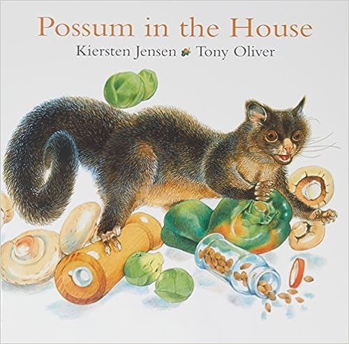 Possum in the House