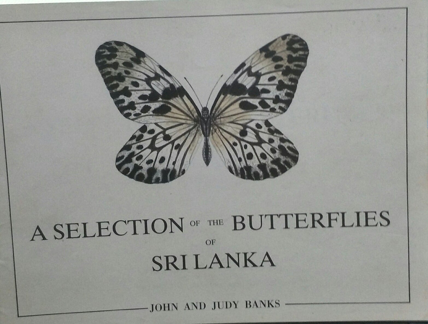 A Selection of the Butterflies of Sri Lanka