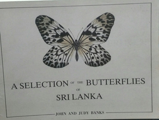 A Selection of the Butterflies of Sri Lanka