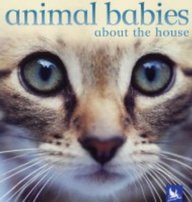 Animal babies about the house [hardcover]