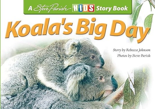 Koala's Big Day