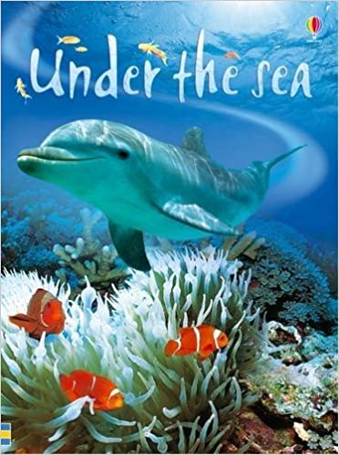 Under the Sea Hardcover