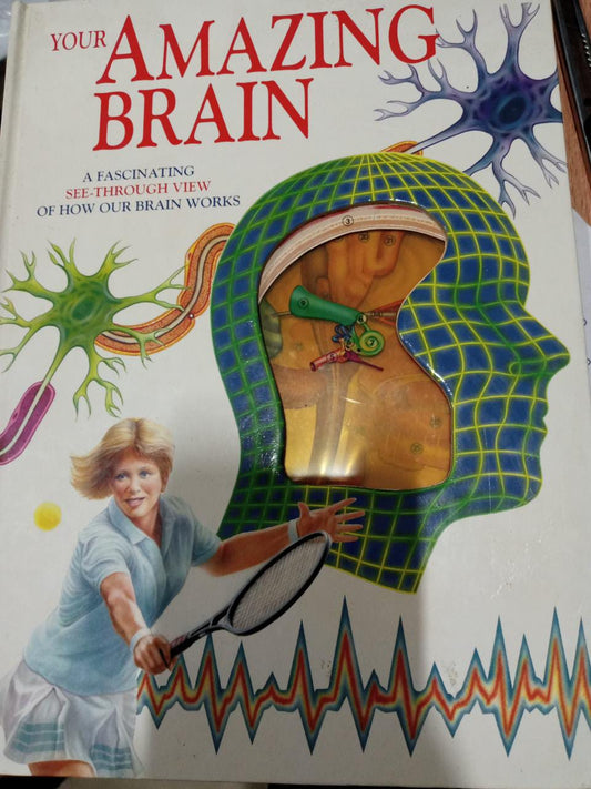 Your Amazing Brain: A Fascinating See-Through View of How Our Brain Works Hardcover