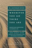 Wherever You Go, There You Are: Mindfulness Meditation in Everyday Life by Jon Kabat-Zinn [rare books]