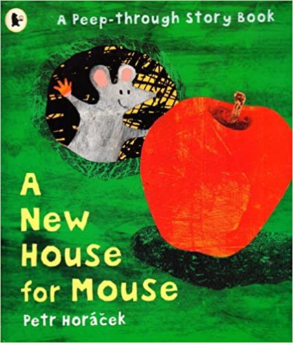 A new house for mouse