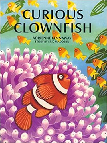 Curious Clownfish