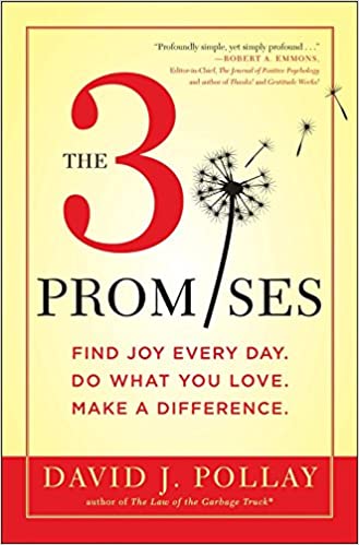 The 3 Promises [Hardcover] (RARE BOOKS)