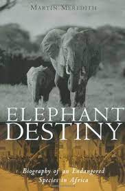 Elephant Destiny [HARDCOVER]