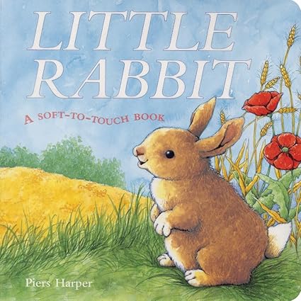 Little Rabbit [Board book]