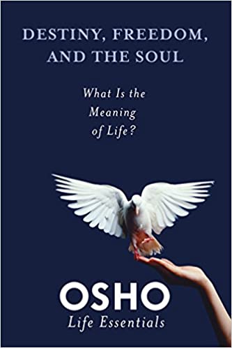 Destiny, Freedom and the Soul: What is the Meaning of Life?