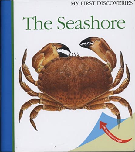 The Seashore [Spiral-bound] [HARDCOVER]