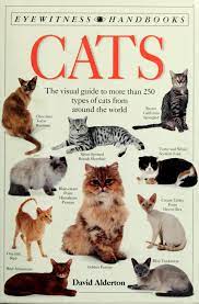 Cats [RARE BOOKS]