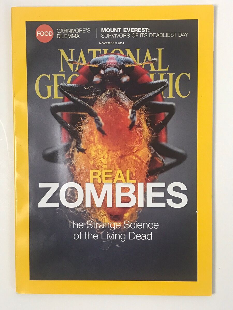 Real Zombies: The Strange Science of Living Dead [National Geographic ...