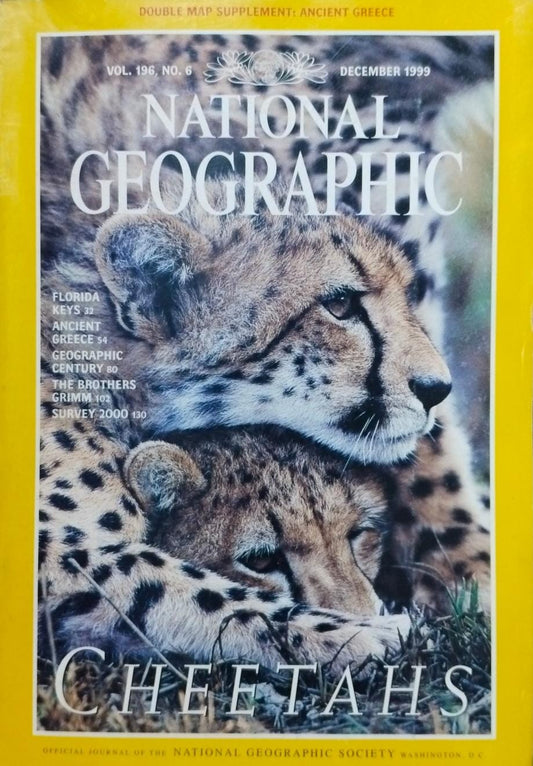 Cheetah's [national geographic][rare books][december 1999][Vol 196 No 6]
