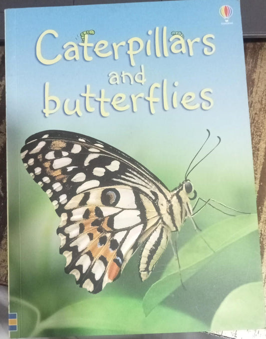 Caterpillars and Butterflies