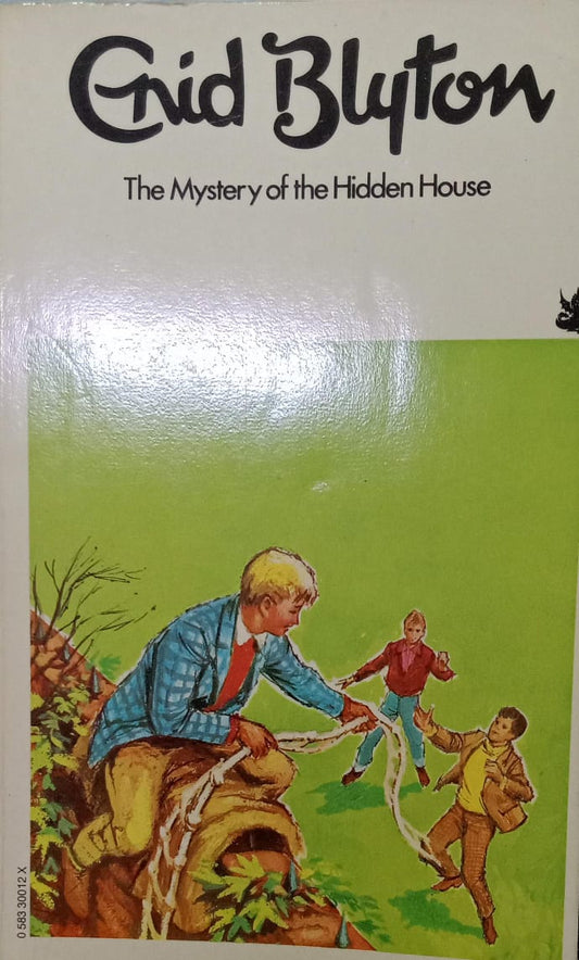 The mystery of the hidden house