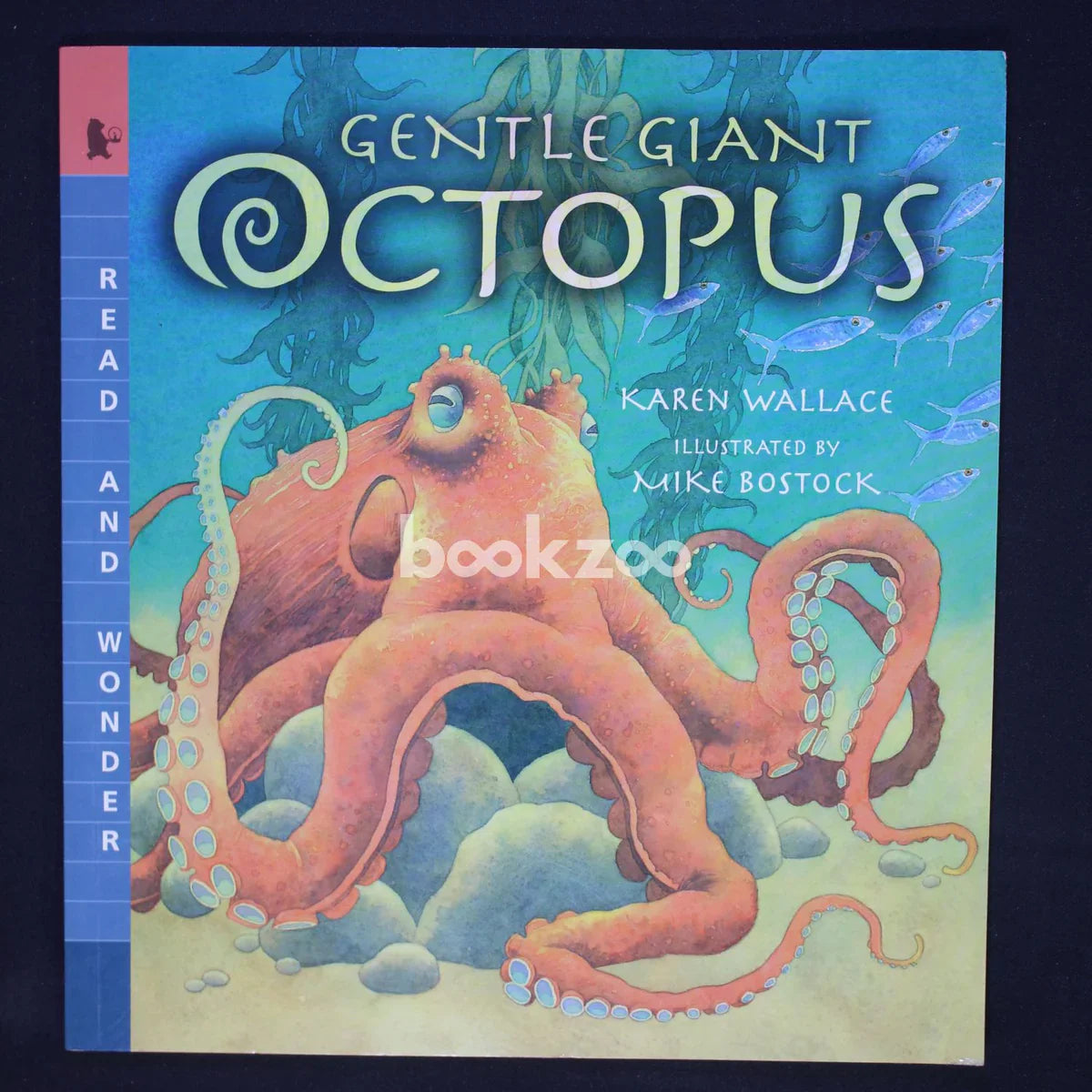 Gentle Giant Octopus