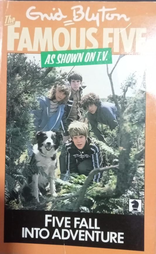 Five Fall into Adventure
