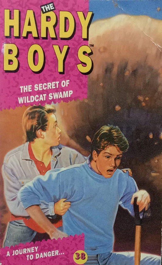 The hardy boys 'the secret of wildcat swamp;
