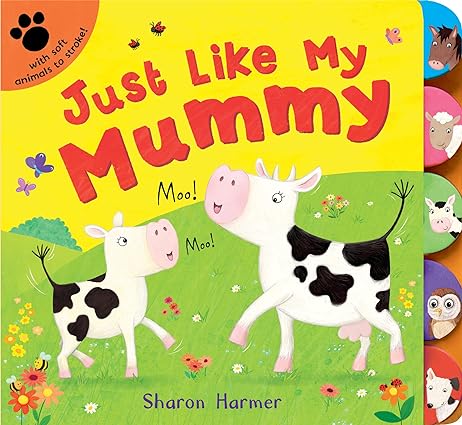 Just Like My Mummy Board book