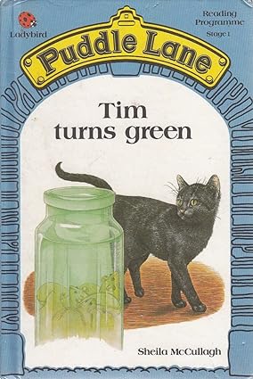 Puddle Lane  Tim Turns Green Hardcover