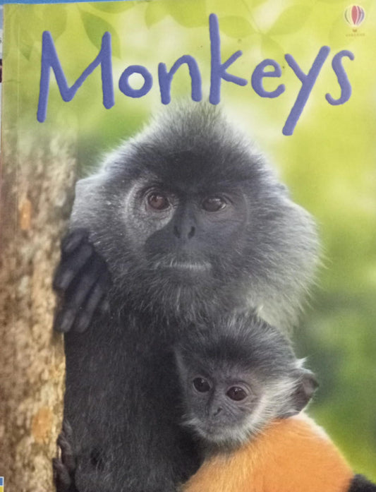 Monkeys