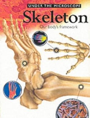Skeleton (Under The Microscope)