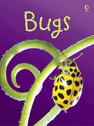 Beginners bugs Hardcover