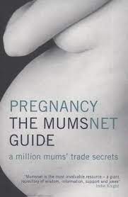 Pregnancy: The Mumsnet Guide [RARE BOOKS]