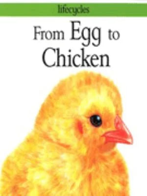 Lifecycles: From Egg to Chicken