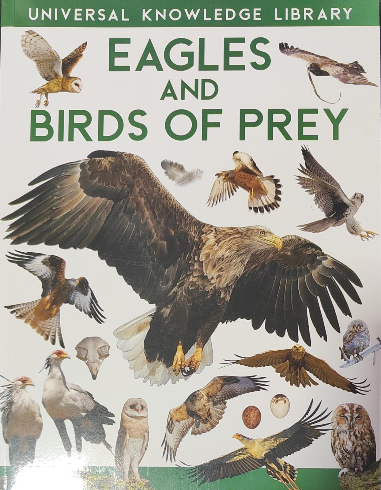 Universal Knowledge Library: Eagles & Birds of Prey by Wilco International LLP [Premium Books]